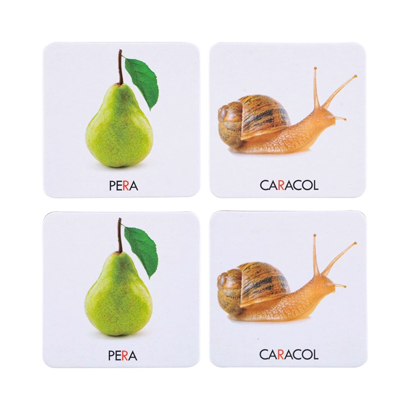 MEMORICE DACTIC PLUS FONEMA R 4/5A MULTICOLOR - 4
