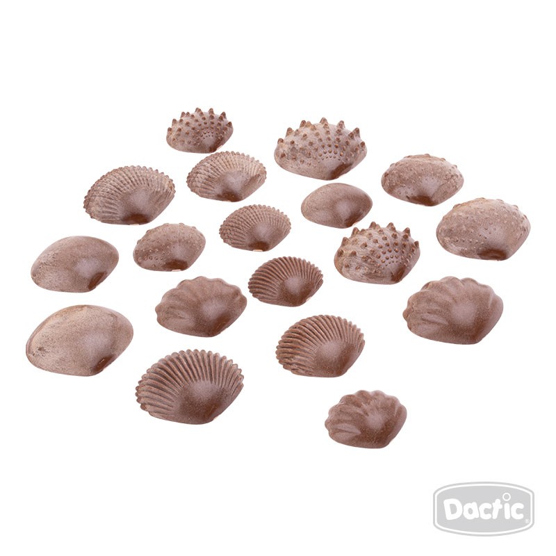 SET DACTIC CONCHAS CON TEXTURA MULTICOLOR - 3