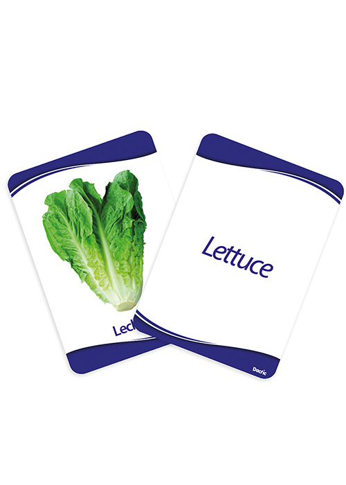 LAMINAS DACTIC ALIMENTACION SALUDABLE - 2
