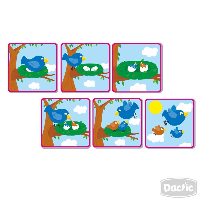 SECUENCIA CARTON DE 6 TIEMPOS DACTIC - 2