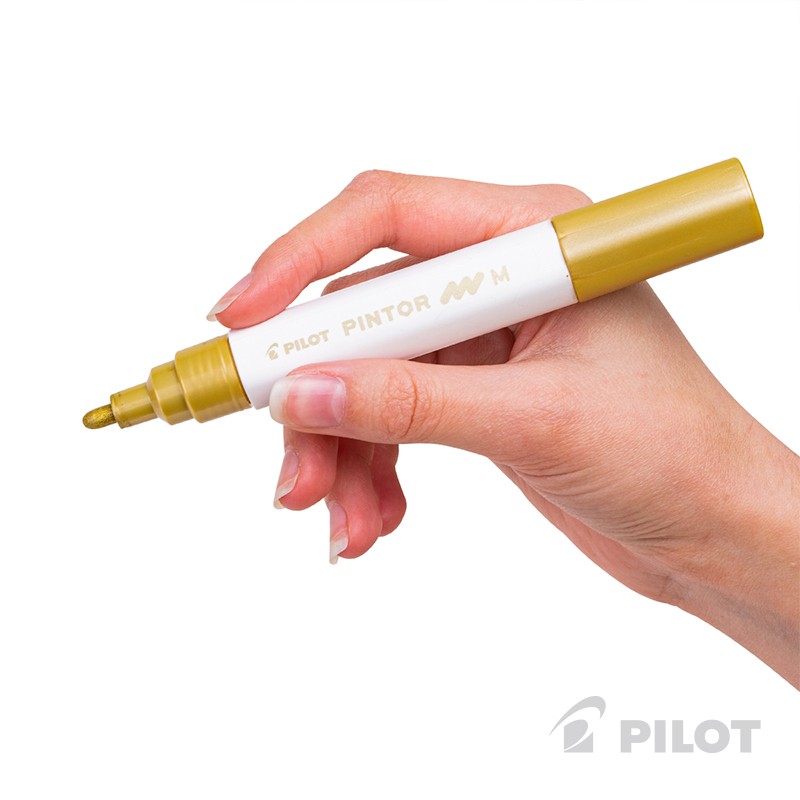 SET PINTOR PILOT 4 PUNTAS DORADO EXTRA FINA FINA MEDIA Y BISELADA - 3