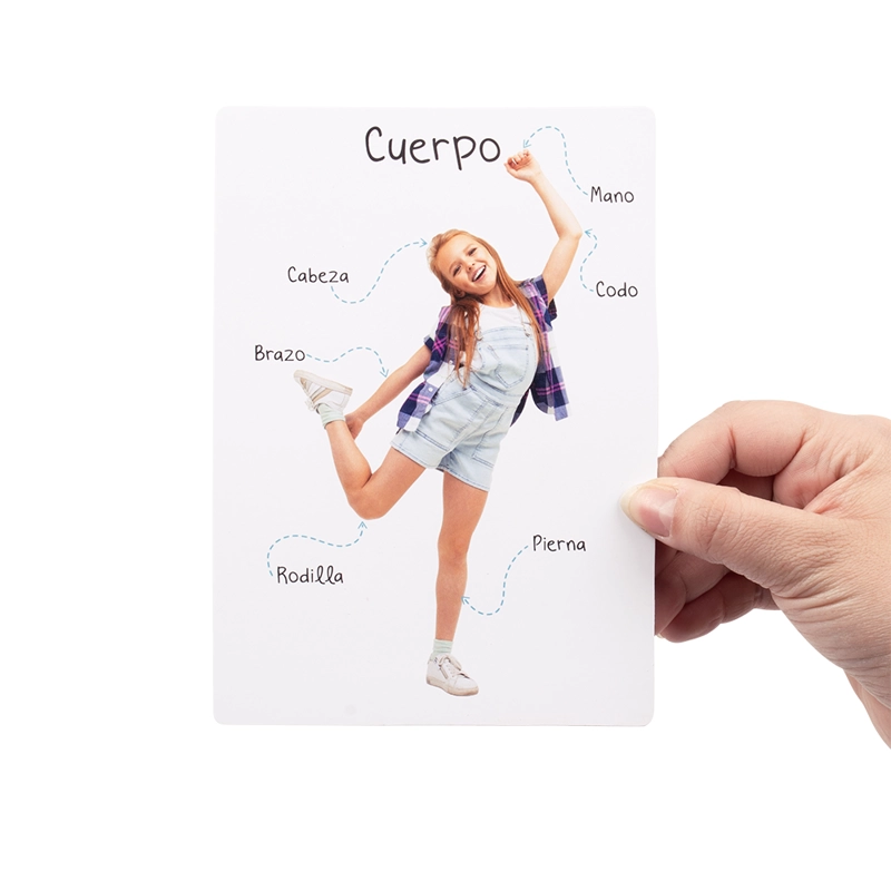 LAMINA PARTES DEL CUERPO - 2