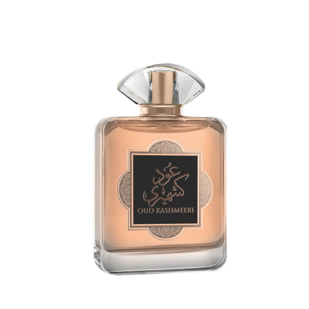 AFAQ OUD KASHMEERI EDP 100 ML - 2