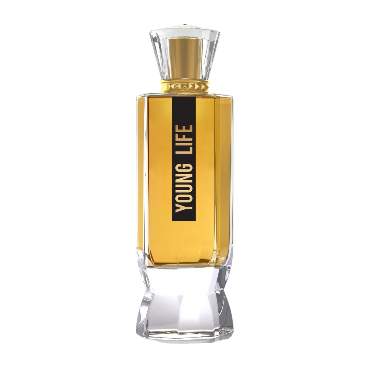 AL GAZAL YOUNG LIFE POUR FEMME EDP 100 ML - 2