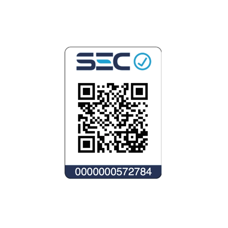 ESCOBILLA ELÉCTRICA EXTENSIBLE MULTIUSO OSOJI B200 - 2
