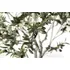 OLIVO ÁRBOL DE OLIVO ARTIFICIAL DE INTERIOR FLOR DE OLIVO - 2