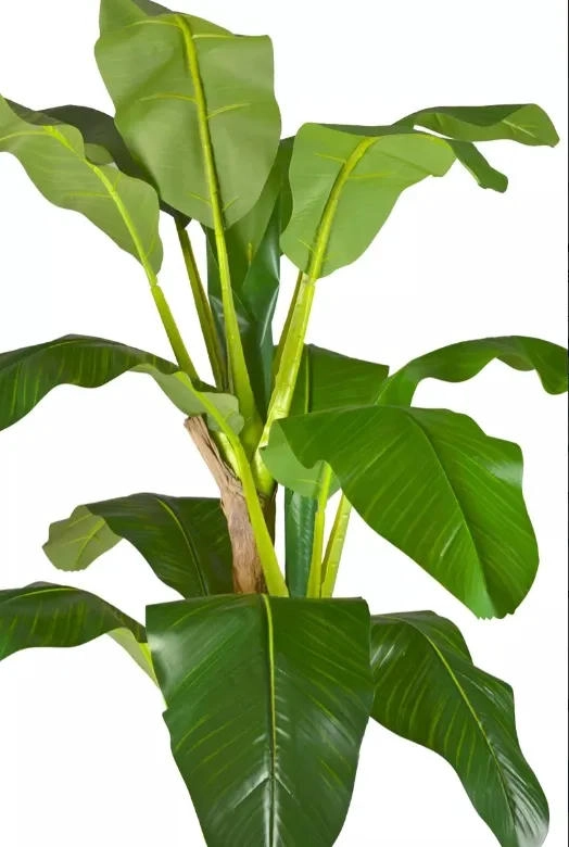 ARTIFICIAL BANANO ÁRBOL PLANTA ARBUSTO 190MT - 3