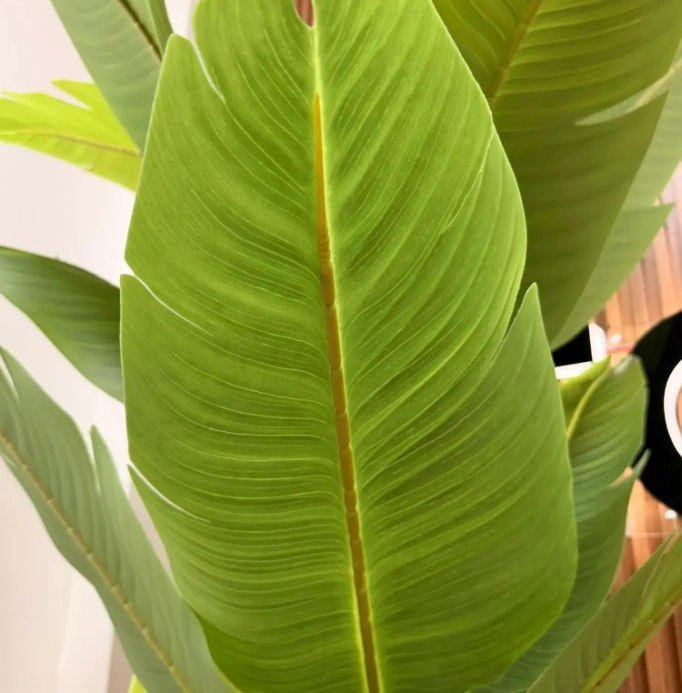 ARTIFICIAL BANANO ÁRBOL PLANTA ARBUSTO 190MT - 5