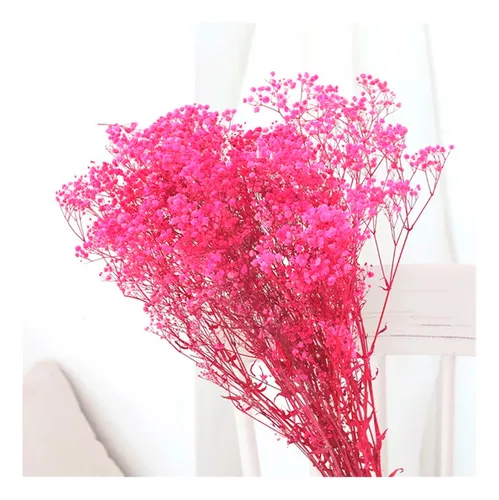 FLORES RAMAS SECAS NATURALES DECORATIVA, GYPSOPHILA FRONDOSA - 1
