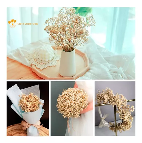 FLORES RAMAS SECAS NATURALES DECORATIVA, GYPSOPHILA FRONDOSA - 3