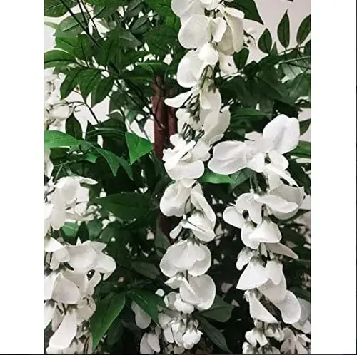 ARBUSTO REALISTA ARBOL CEREZO JAPONÉS WISTERIA GLICINIA - 2