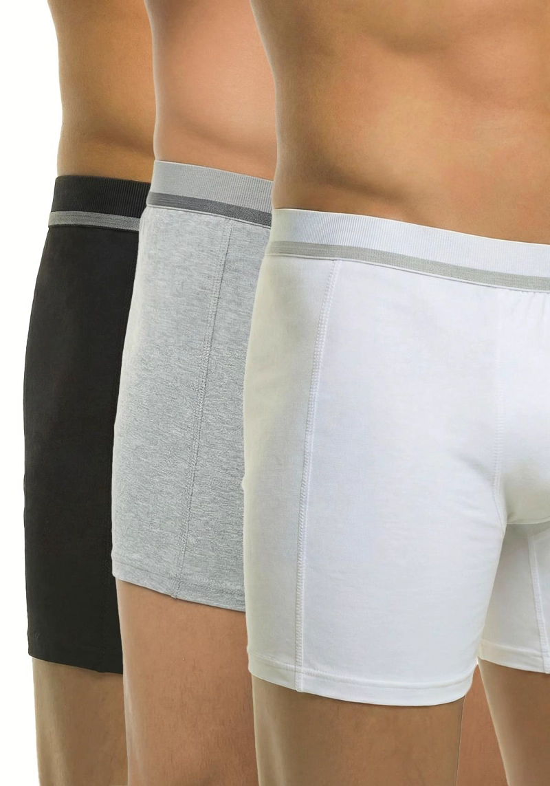 PACK 3X BOXER ALGODON P393106-SUR1 KAYSER - - 1