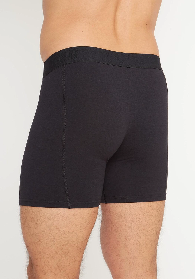 PACK 2 BOXERS LARGO ALGODON P293.80W-NEG1 - 3