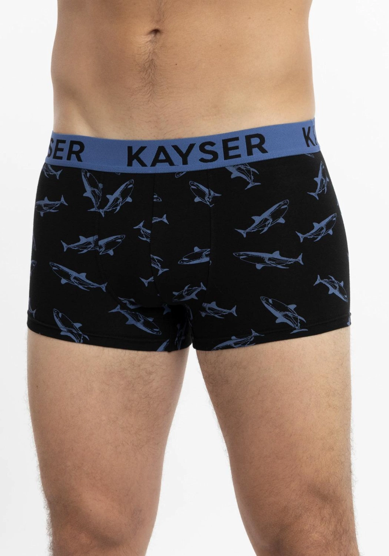 PACK DE 2 BOXERS ALGODON HOMBRE KAYSER - 2