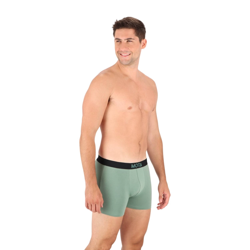 BOXER MEDIO ALGODON PACK3 MOTA MT4346 - 2