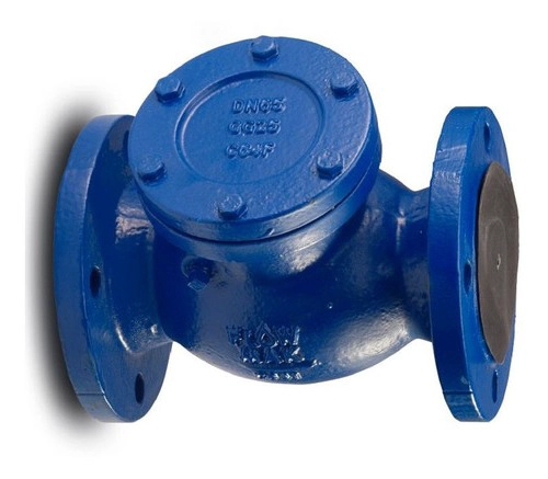 VÁLVULA FLOWMAK RETENCIÓN 2'' CHAPALETA FE PN16 - 2