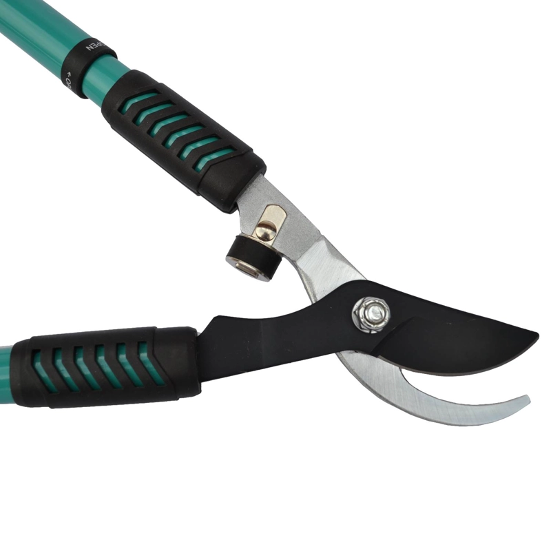 TIJERON BY PASS GREEN SEASON K018KG GREEN SEASON - 2