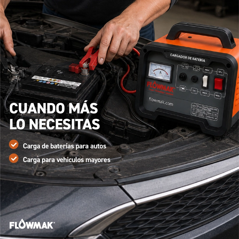 CARGADOR DE BATERIAS 12V Y 24V DE 30AH HASTA 300AH FLOWMAK - 3