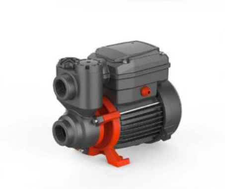 BOMBA PERIFE RICA PQ50E 0,5HP 220V 33L/MIN  LEO - 1
