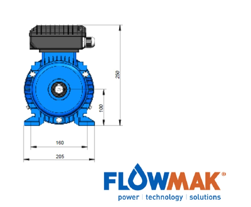 MOTOR ELE CTRICO 4HP 2800 RPM 2 POLOS 220V FLOWMAK - 4