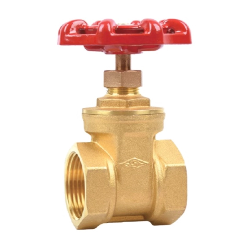 VALVULA DE COMPUERTA 2' LATON HI-HI FLOWMAK - 1