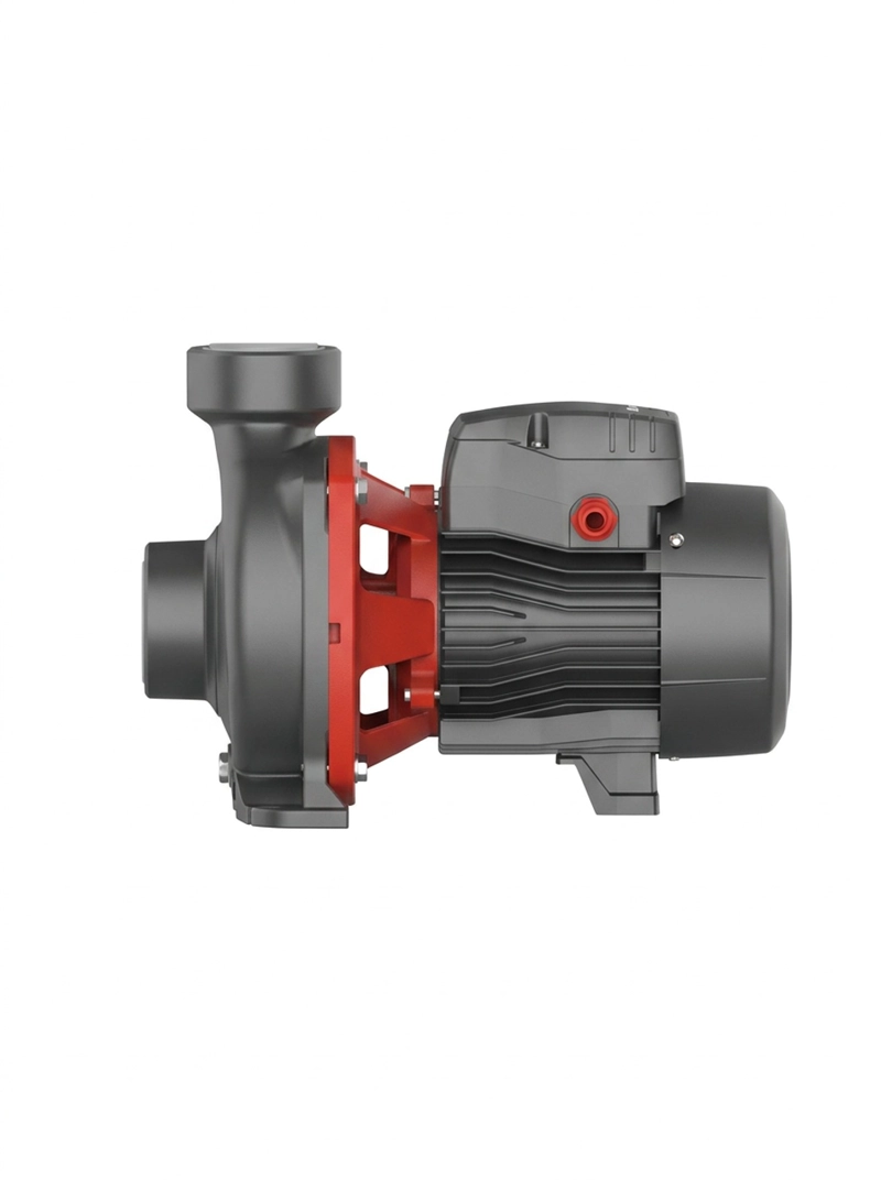 BOMBA CENTRIFUGA ACM110B2 1,5HP 220V LEO - 2