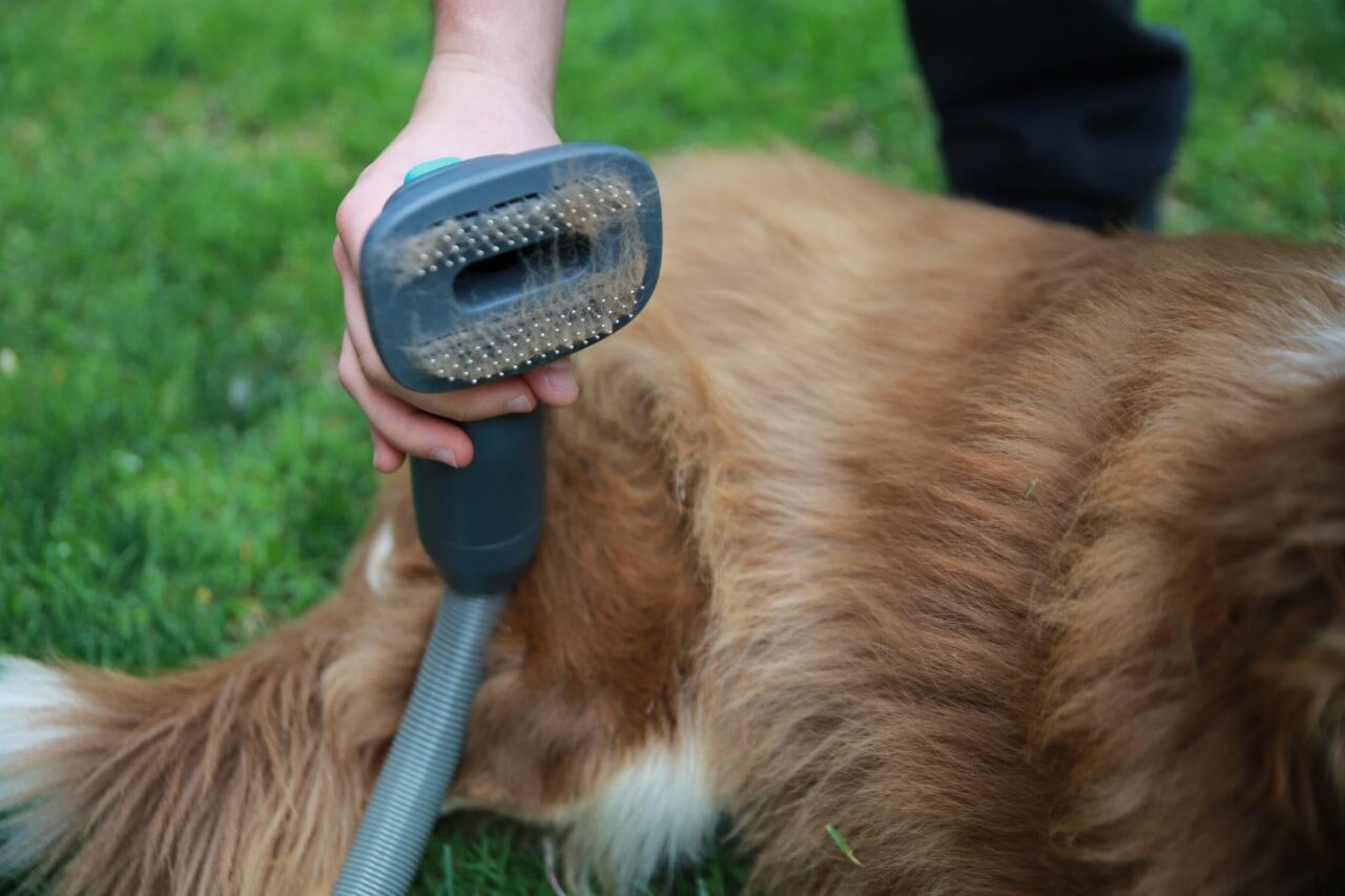 Cepillo para Mascotas Pet Brush Aspiradora Inalámbrica X5-Full PRIMATERM - 5
