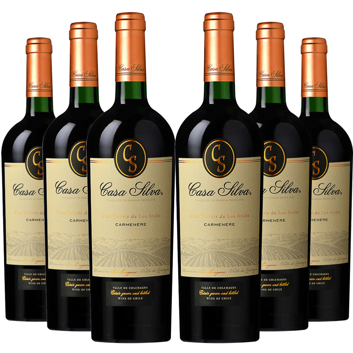 6 VINOS CASA SILVA GRAN TERROIRS CARMENERE - 1