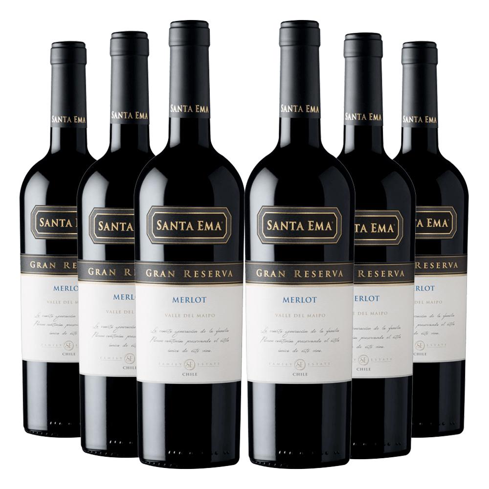 VINO TINTO CARMENERE MERLOT SANTA EMA BOTELLA VIDRIO 6 UN GRAN RESERVA - 1