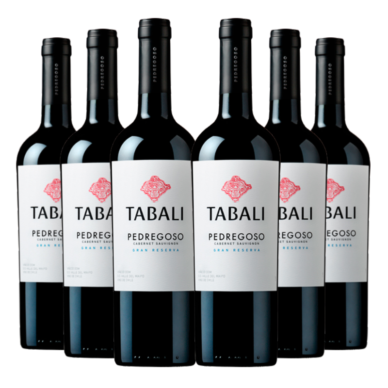 VINO TINTO CABERNET SAUVIGNON TABALI BOTELLA VIDRIO 6 UN PEDREGOSO - 1
