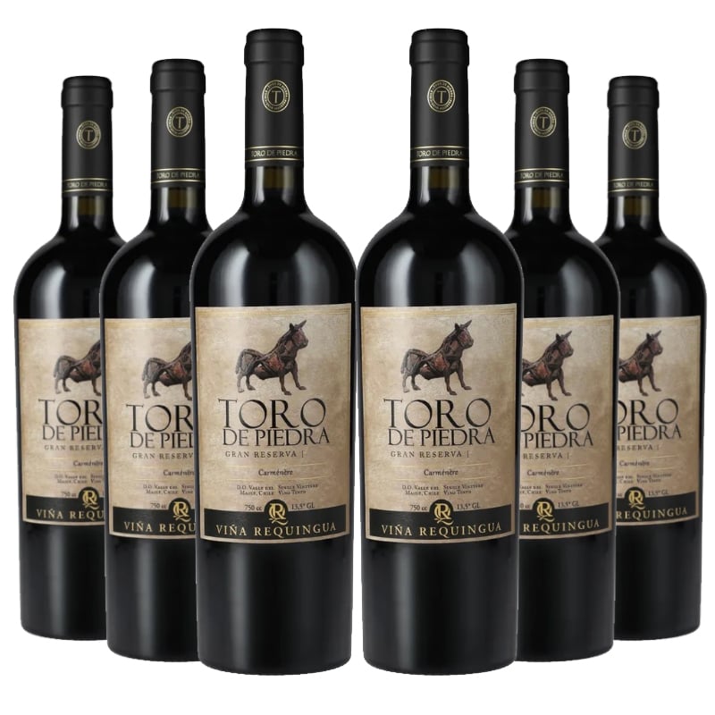 VINO TINTO CARMENERE TORO DE PIEDRA BOTELLA VIDRIO 6 UN GRAN RESERVA - 1