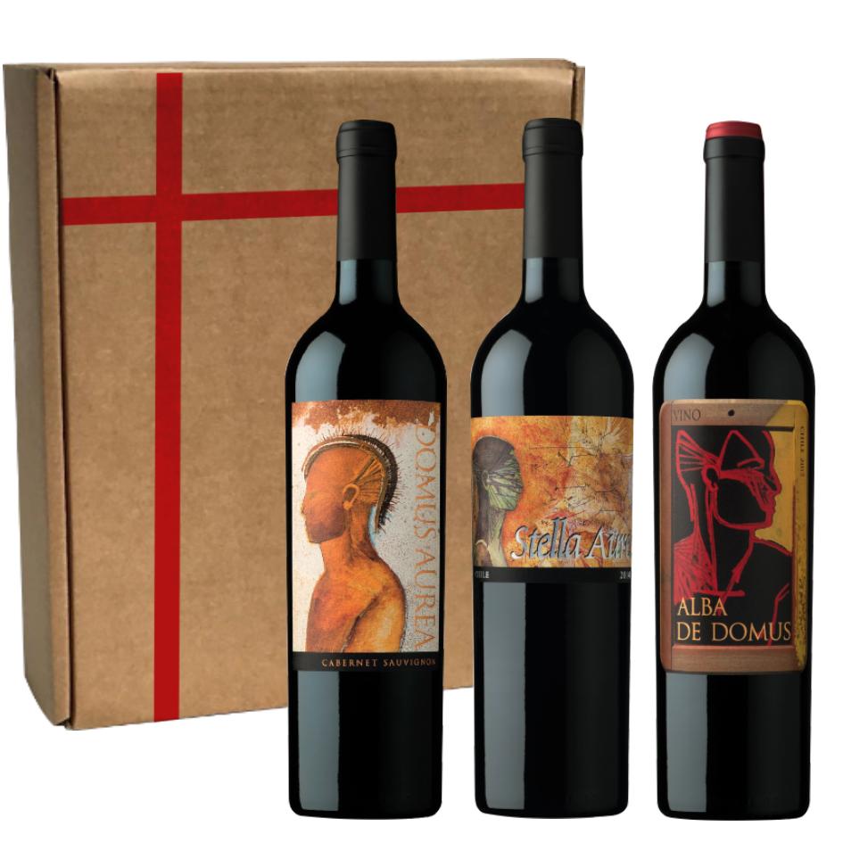3 VINOS PACK QUEBRADA DE MACUL (DOMUS + STELLA + ALBA) - 1