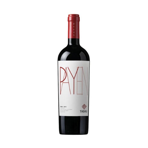 VINO TINTO SYRAH TABALI BOTELLA VIDRIO PAYEN - 1