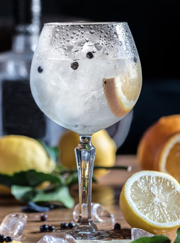 GINEBRA THE BOTANIST BOTELLA VIDRIO - 2