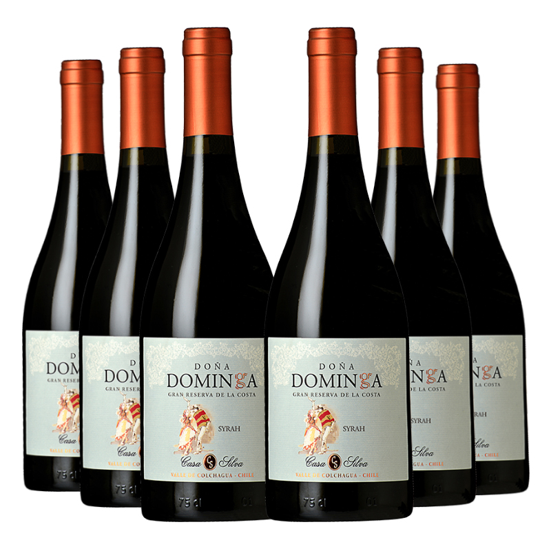 6 VINOS DOÑA DOMINGA RESERVA DE FAMILIA SYRAH - 1