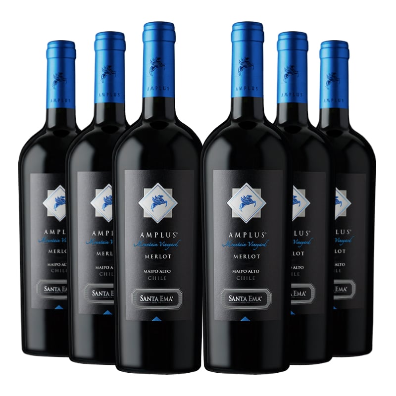 VINO TINTO CARMENERE MERLOT SANTA EMA BOTELLA VIDRIO 6 UN AMPLUS - 1