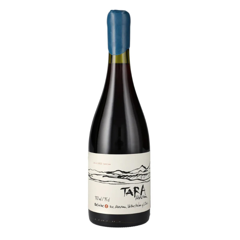 VINO VENTISQUERO TARA ATACAMA PINOT NOIR - 1
