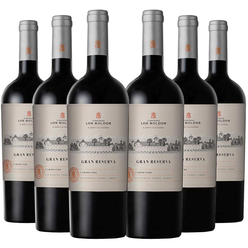 6 VINOS LOS BOLDOS GRAN RESERVA CARMENERE - 1
