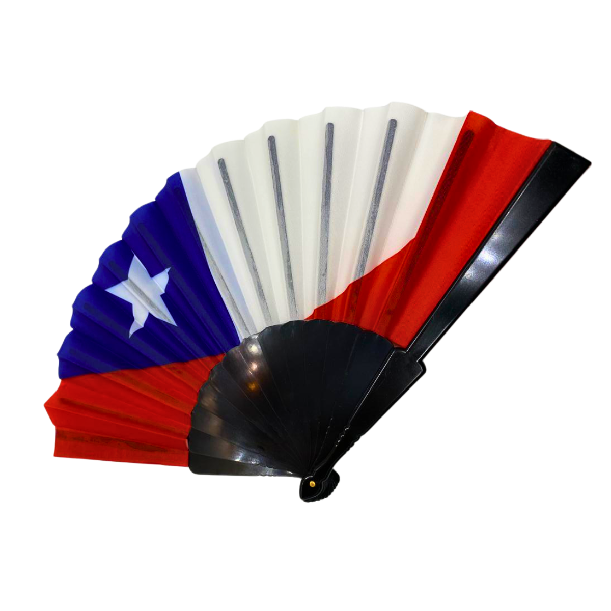PACK COTILLON FECHAS PATRIAS - DISEÑO 1 - 4
