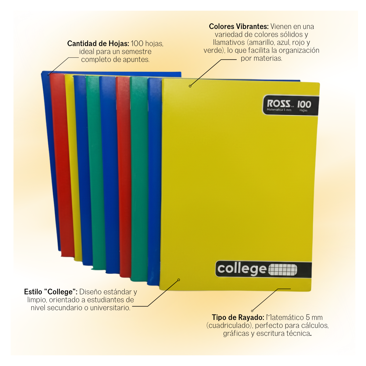 PACK 10 CUADERNOS ROSS COLLAGE 5MM 100 HOJAS 24.5X18 CM - 5