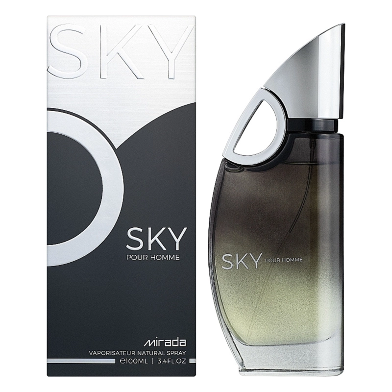 SKY FOR MEN MIRADA EDP 100ML HOMBRE - 1