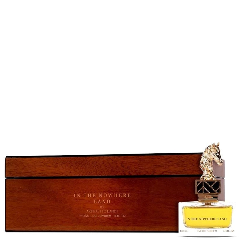 IN THE NOWHERE LAND AURORA SCENTS 100ML UNISEX - 1