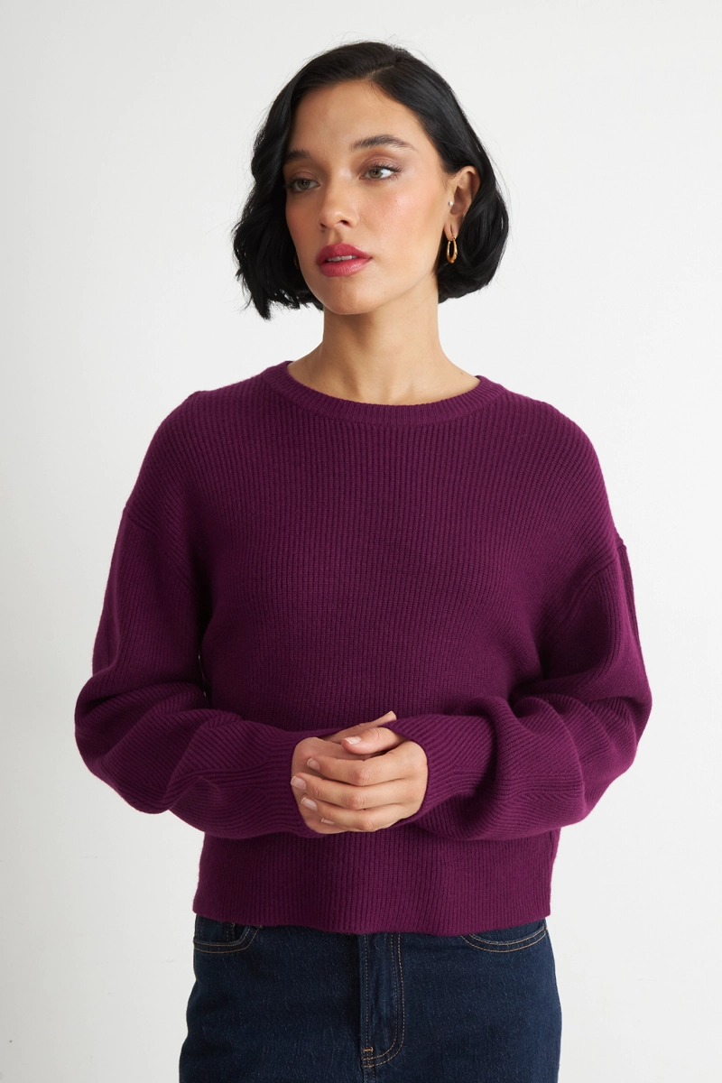 SWEATER JASPEADO CUELLO REDONDO MORADO NICOPOLY - 1