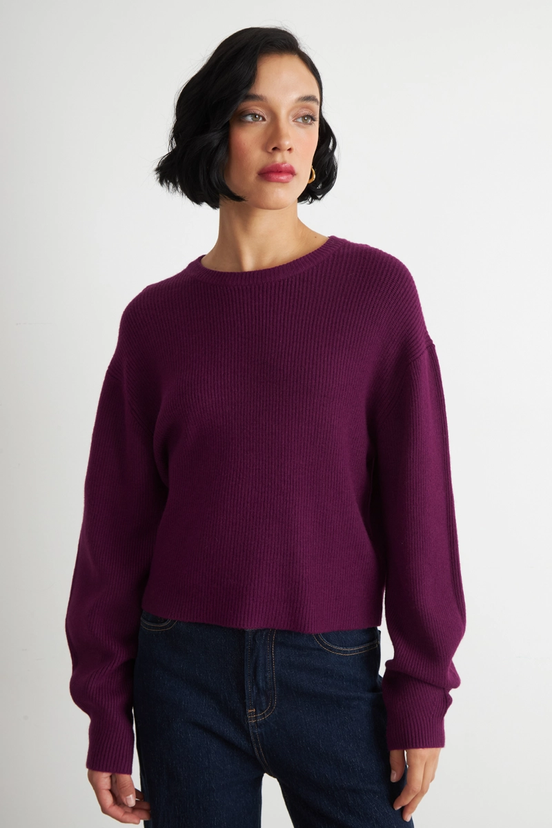 SWEATER JASPEADO CUELLO REDONDO MORADO NICOPOLY - 5