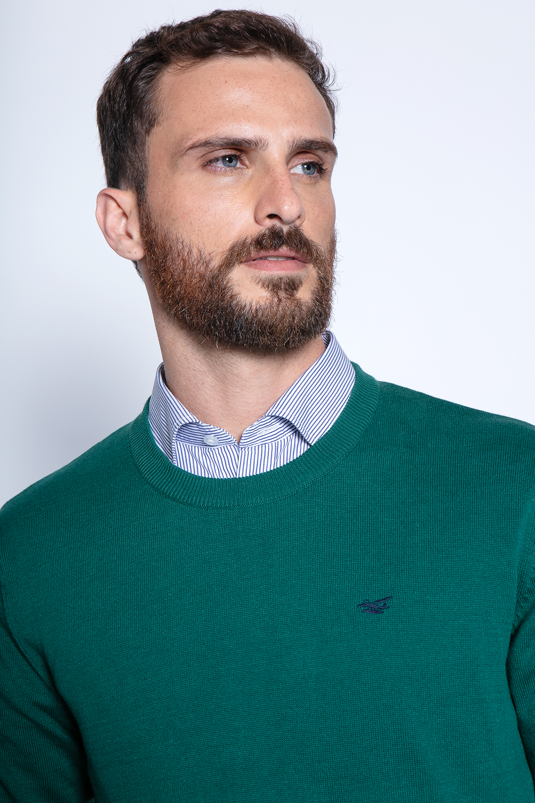 SWEATER ROUND NECK PARIS GREEN - 3