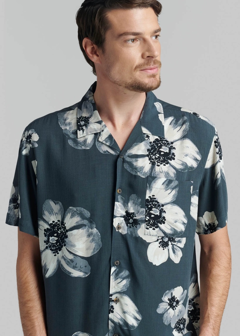 CAMISA DOVER GRAFITO - 3