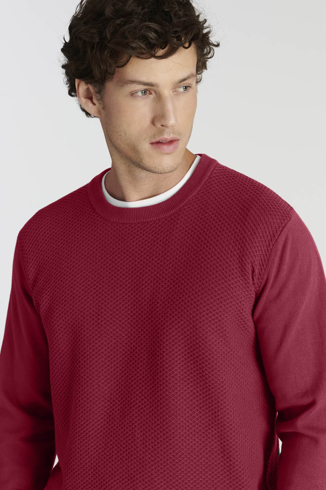 SWEATER AVILA HERITAGE CHERRY - 3