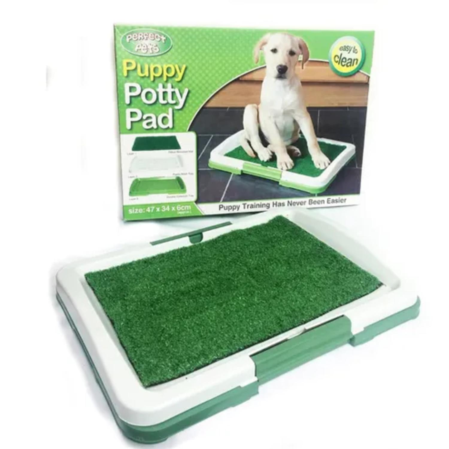 BAÑO PERROS ECOLÓGICO MASCOTAS - 1