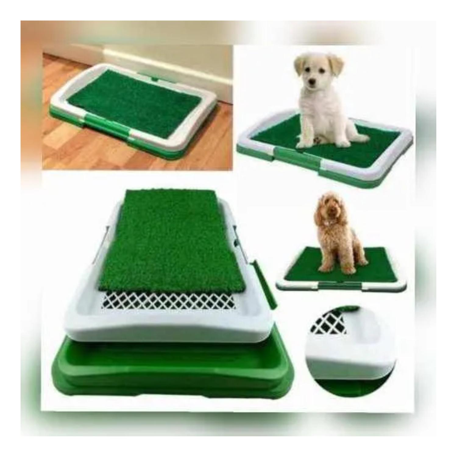 BAÑO PERROS ECOLÓGICO MASCOTAS - 2