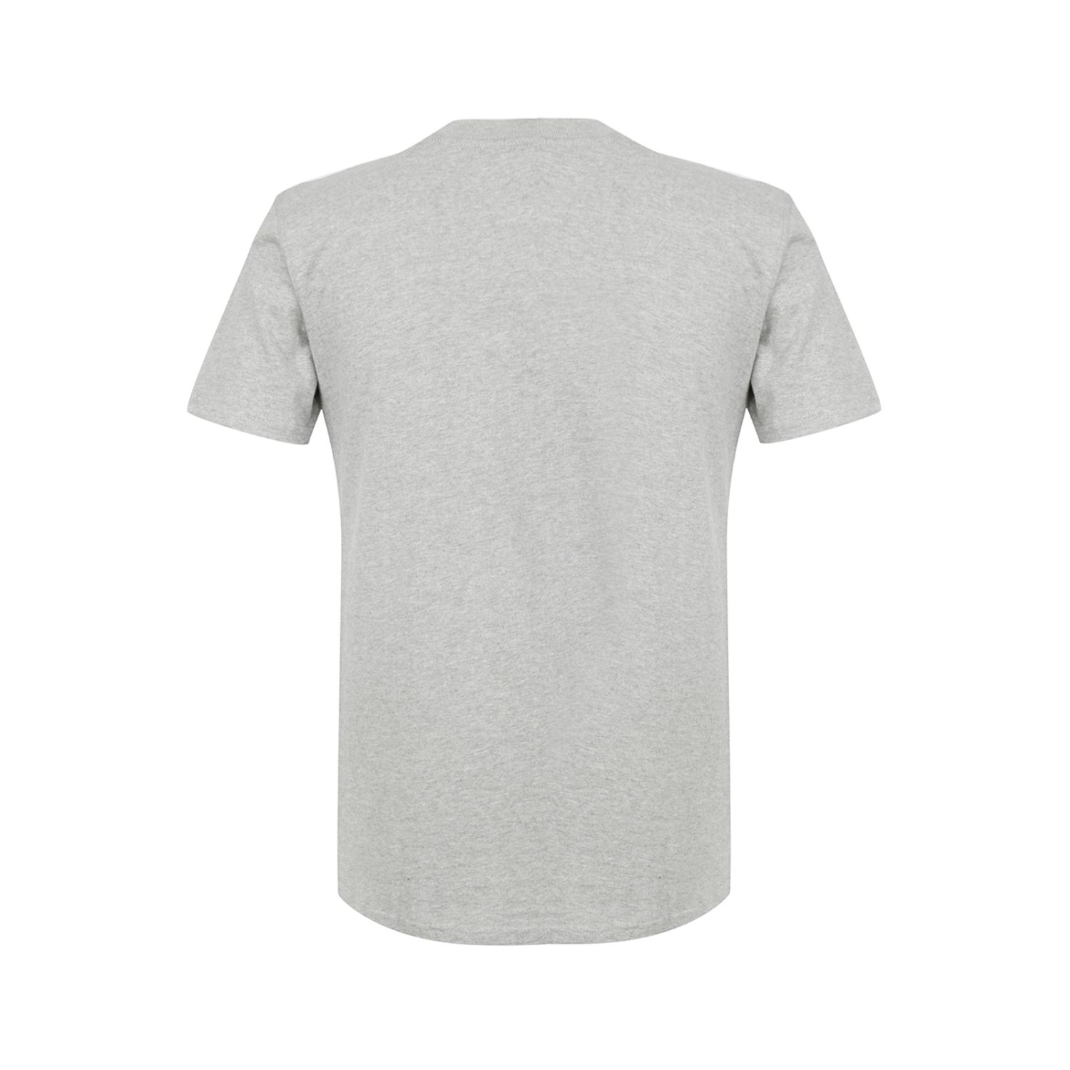 POLERA HOMBRE DISCOVERY MOUNTAIN GRIS - 2